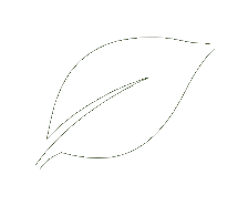 Icono hoja blanco